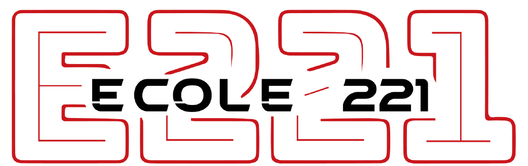 cropped-icone-logo-221_Plan-de-travail-1